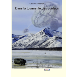 EBOOK : Dans la tourmente...